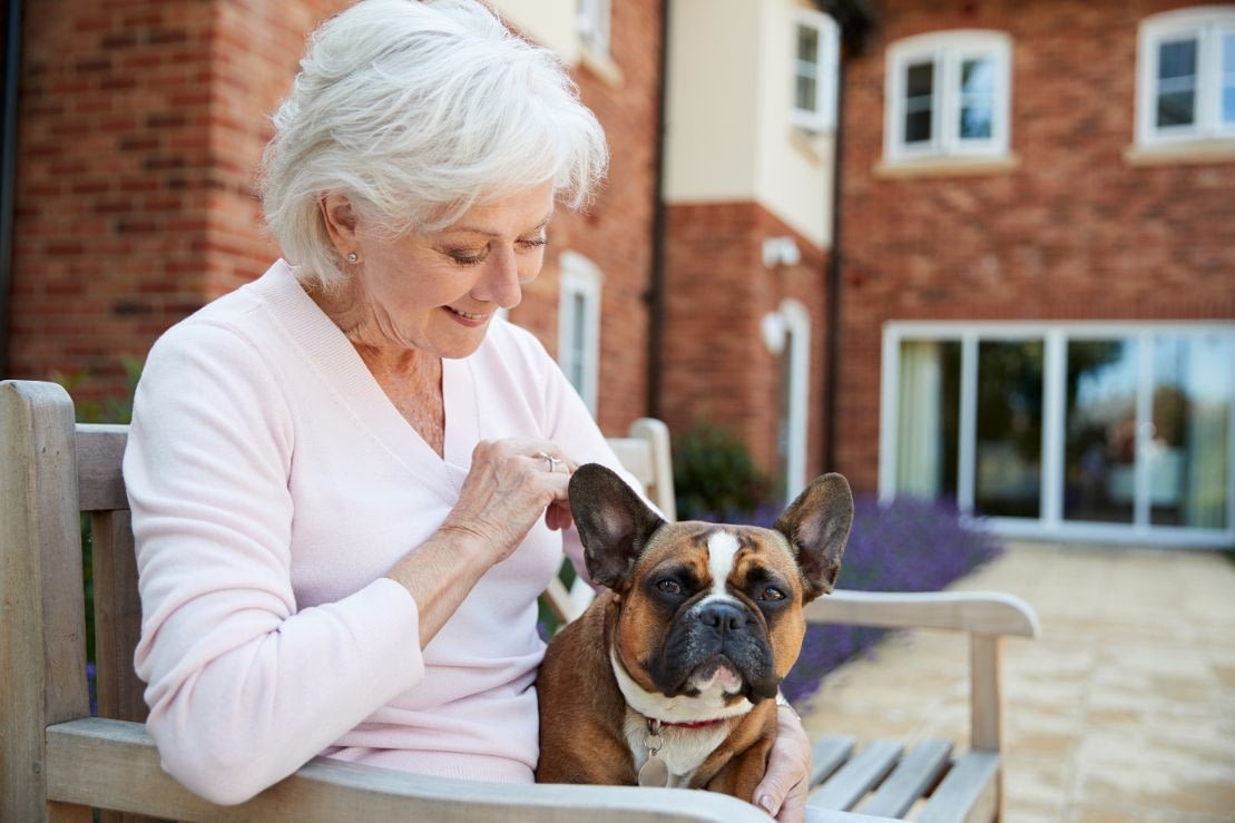 Senior woman petting French bulldog on outdoor bench