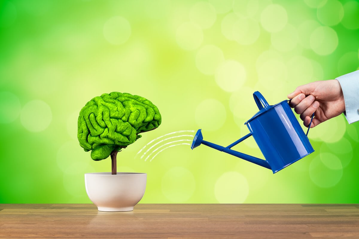 Brain-shaped plant being watered with blue watering can