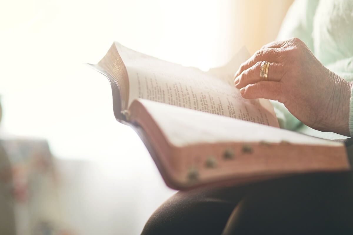 Elderly person reading book in warm light