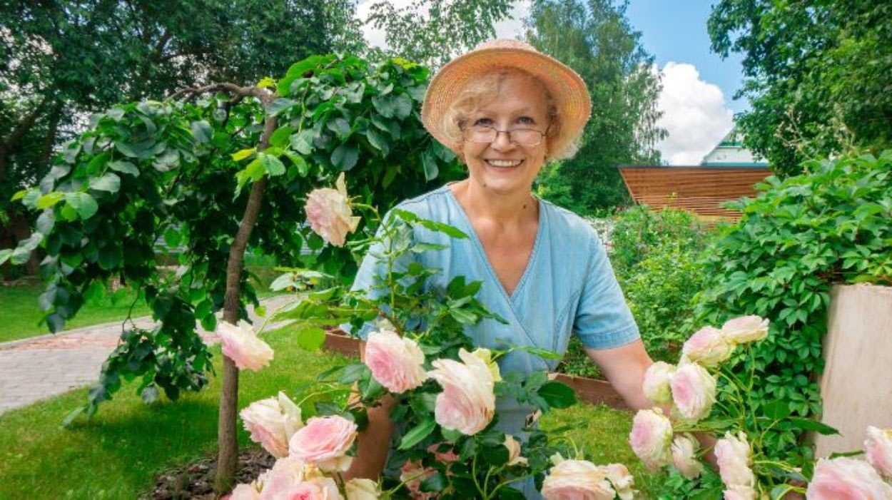 Smiling woman gardening among blooming pink roses