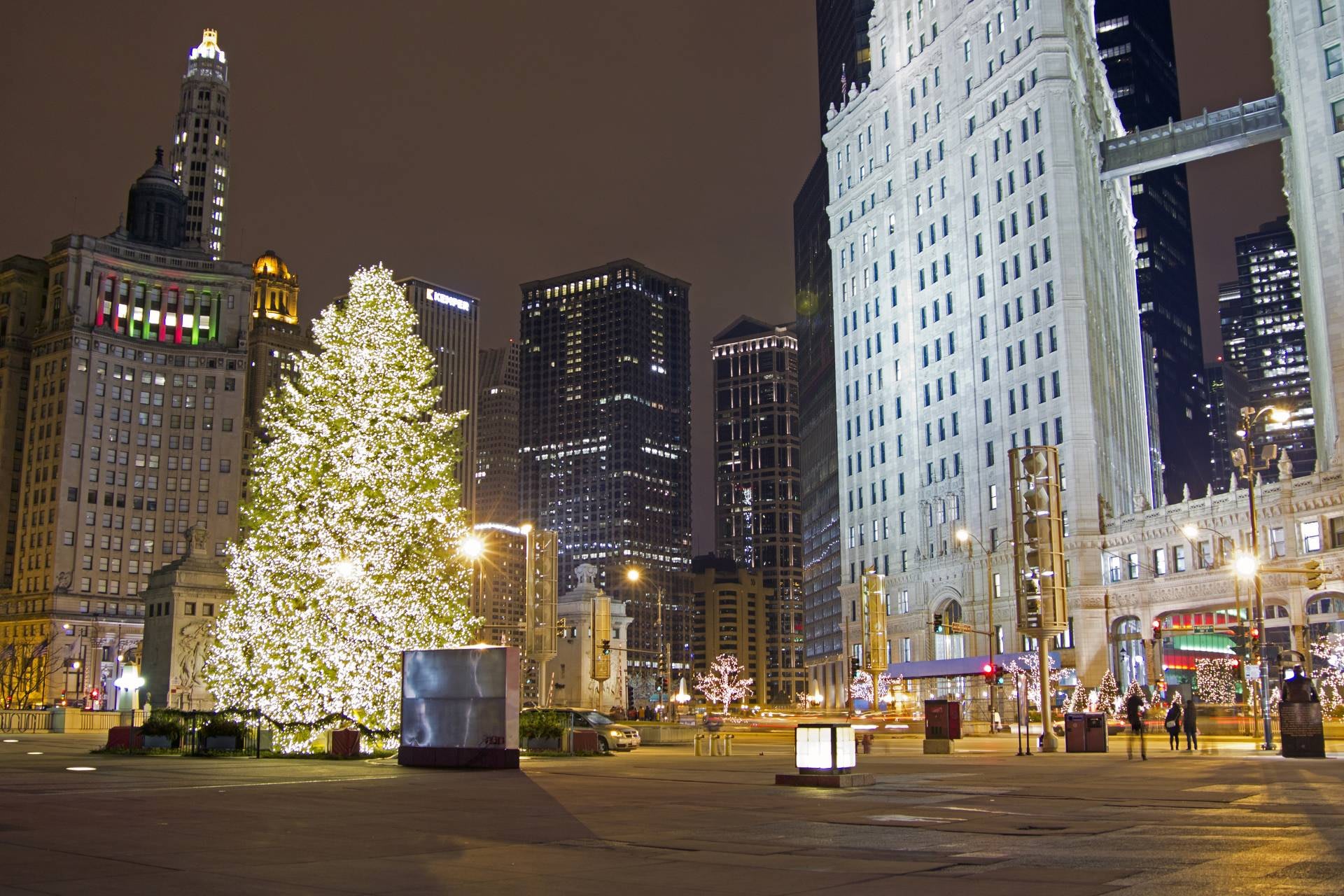 Illuminated Christmas tree in downtown city at night