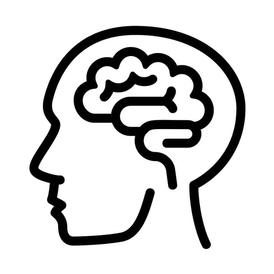 Outline of head with brain illustration