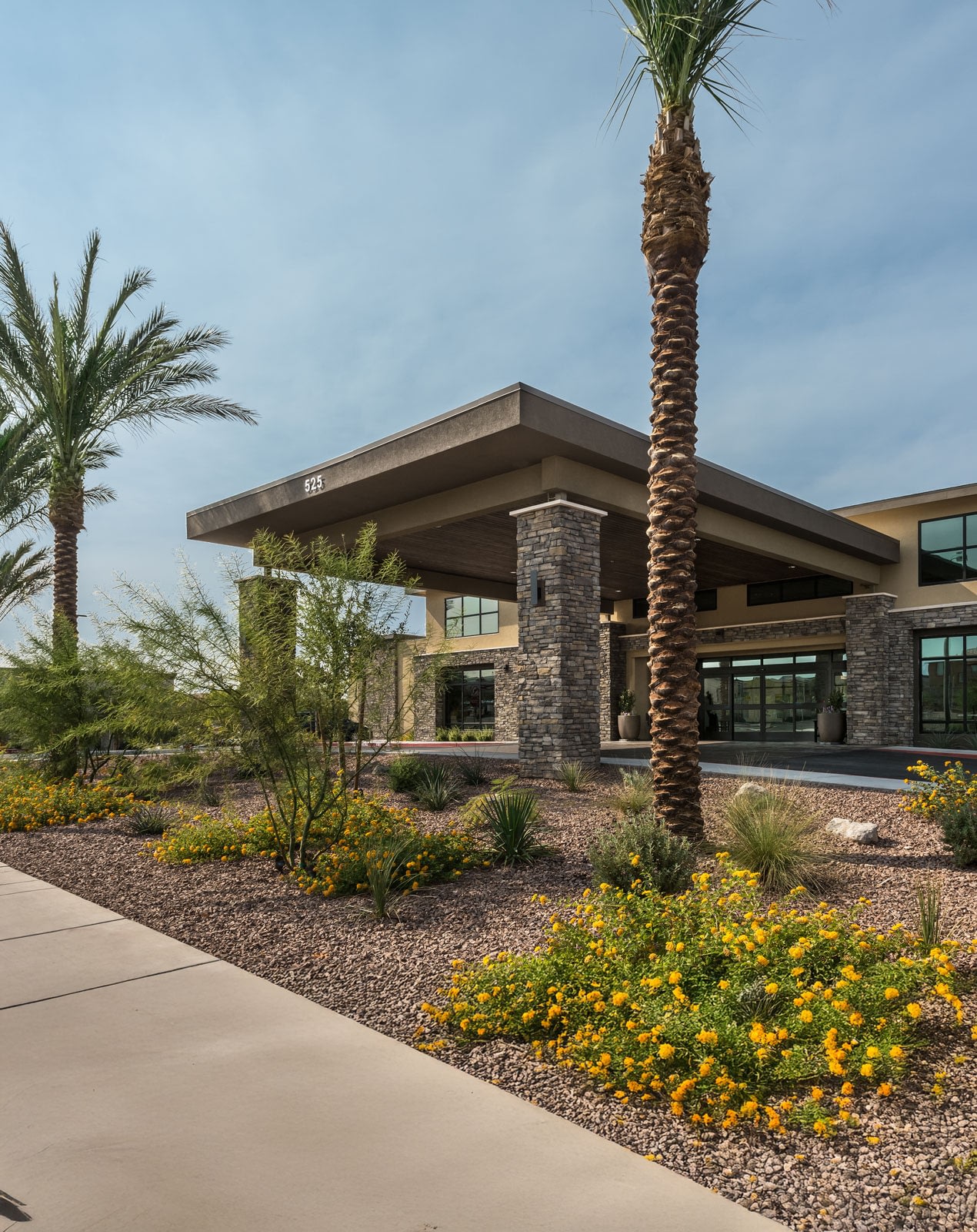 Modern building entrance with palm trees and desert landscaping