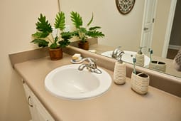 Modern bathroom sink with mirror and plant