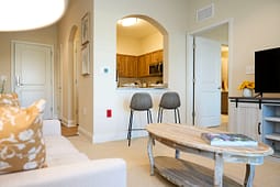Cozy apartment living room with kitchen pass-through