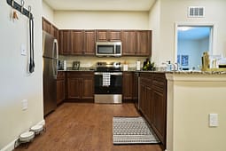 Modern kitchen with dark wood cabinets and stainless appliances