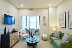 Modern living room with green sofa and TV