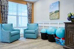 Bright therapy room with chairs and exercise balls