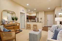 Modern open-concept living room and kitchen interior