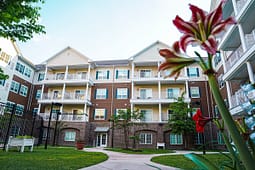 Apartment courtyard with balconies and red flower