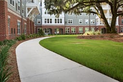 Apartment courtyard with curved sidewalk and large oak tree