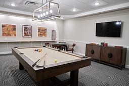 Modern game room with pool table and TV