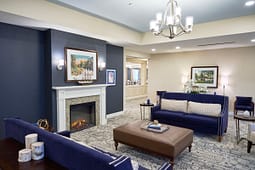 Elegant living room with fireplace and blue sofas