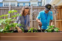 Two adults gardening in raised backyard planter