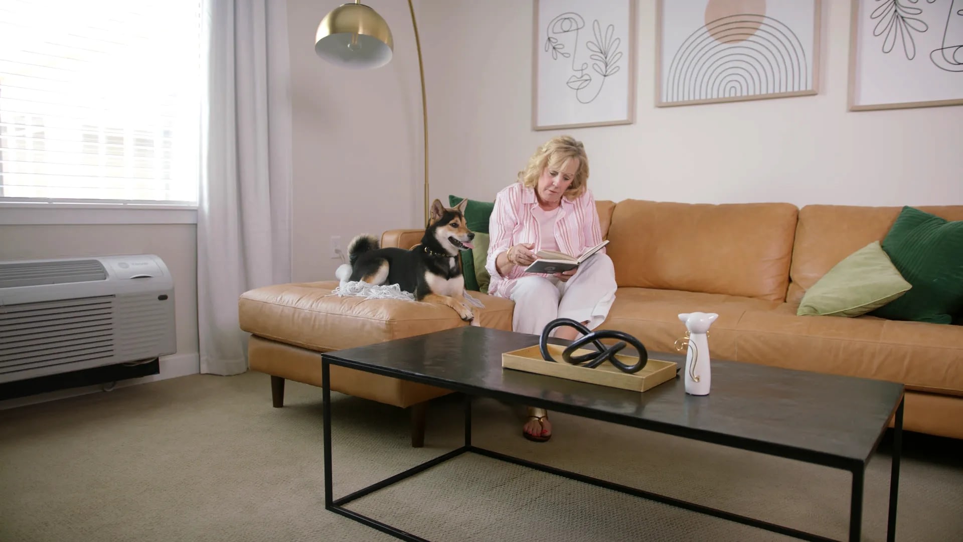 Woman reading book on couch with dog