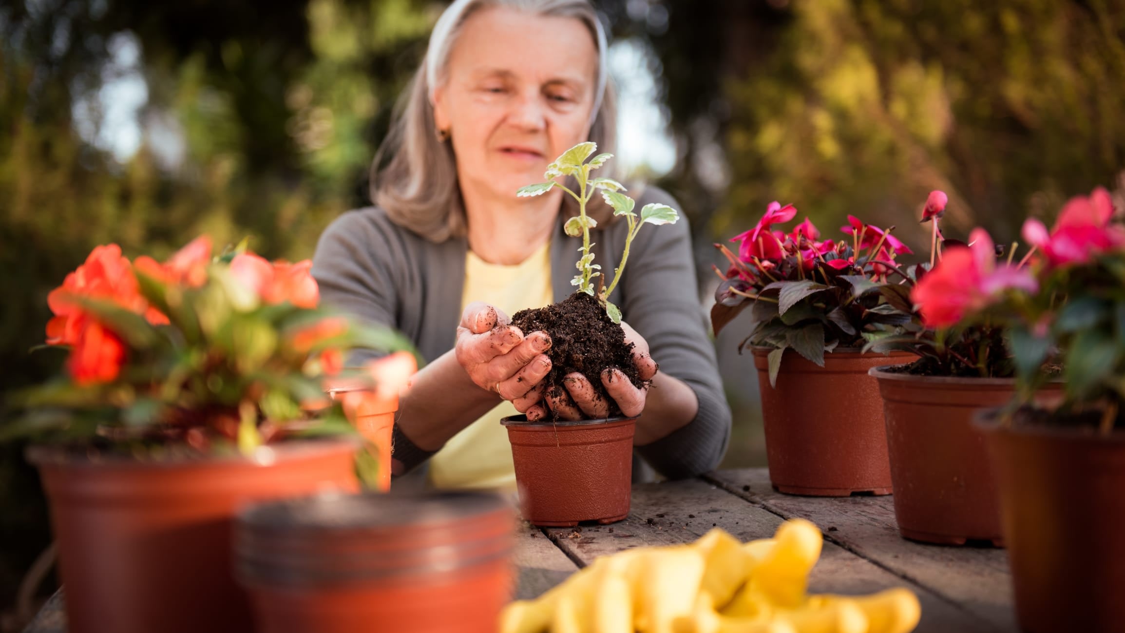 An older woman holds a plant she’s just removed from a nursery pot, while several other flowering plants sit on the table in front of her.
