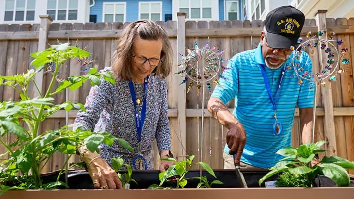 Two seniors gardening in raised backyard planter